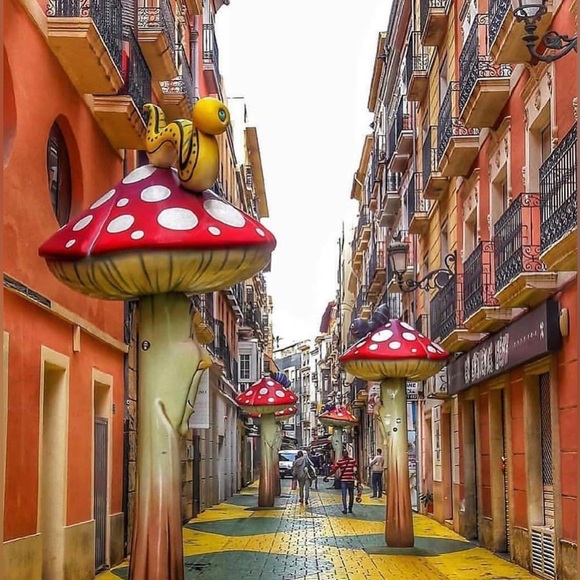 ๐โ๐ซ Meet your Mushroom Enthusiast, Maisel Liam! ๐โ๐ซ - Picture 7 of 9